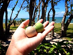 ISLAND SPA -Ishigakijima- 画像2